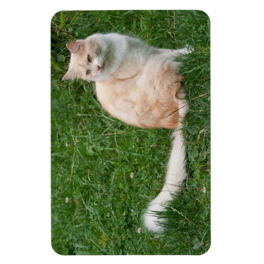 Magnet Flexible Beauté rouge clair (Vertical)