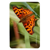 Magnet Flexible Beautiful Orange Satyr Comma Butterfly (Vertical)