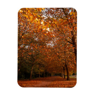 Magnet Flexible Beaux arbres automnaux