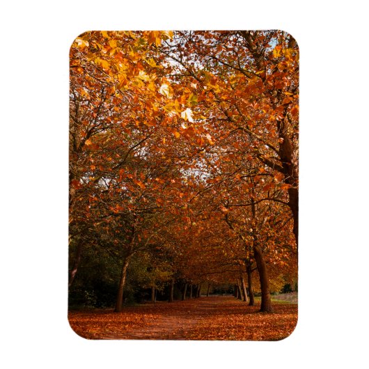 Magnet Flexible Beaux arbres automnaux (Vertical)