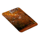 Magnet Flexible Beaux arbres d'automne (Côté Droit)