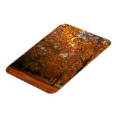 Magnet Flexible Beaux arbres d'automne (Côté Gauche)