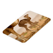 Magnet Flexible Bébé Camel (Côté Gauche)