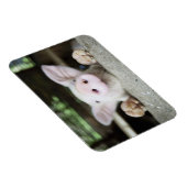 Magnet Flexible Bébé Cochon en Stylo, Piglet (Côté Droit)