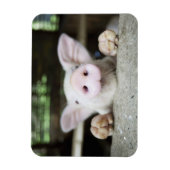 Magnet Flexible Bébé Cochon en Stylo, Piglet (Vertical)