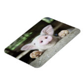 Magnet Flexible Bébé Cochon en Stylo, Piglet (Côté Gauche)