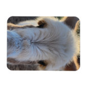 Magnet Flexible Bébé doux Smooch Donkey (Horizontal)