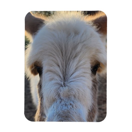 Magnet Flexible Bébé doux Smooch Donkey (Vertical)