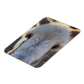 Magnet Flexible Bébé doux Smooch Donkey (Côté Gauche)