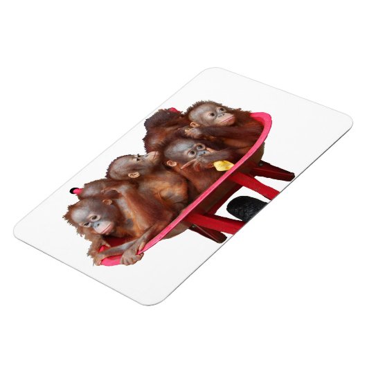 Magnet Flexible Bébé doux Visage Baril de singes (Côté Gauche)