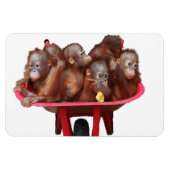 Magnet Flexible Bébé doux Visage Baril de singes (Horizontal)