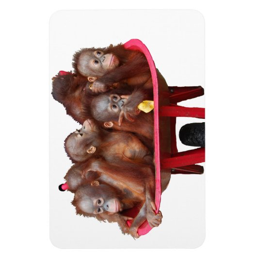 Magnet Flexible Bébé doux Visage Baril de singes (Vertical)