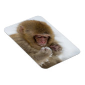 Magnet Flexible Bébé Japonais Macaque | Singe des neiges (Côté Droit)