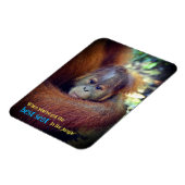 Magnet Flexible Bébé Orangoutan (Côté Gauche)