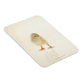 Magnet Flexible Bébé poulet (Côté Droit)