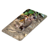 Magnet Flexible Bébé singe (Côté Gauche)