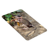 Magnet Flexible Bébé singe (Côté Droit)