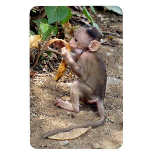 Magnet Flexible Bébé singe (Vertical)