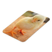 Magnet Flexible Bébés (Côté Gauche)