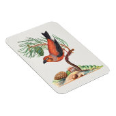 Magnet Flexible Bec-croisé rouge, (Côté Droit)