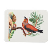 Magnet Flexible Bec-croisé rouge, (Horizontal)