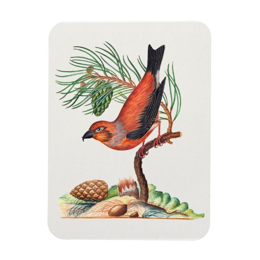 Magnet Flexible Bec-croisé rouge, (Vertical)