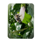 Magnet Flexible Bee in summer (Vertical)