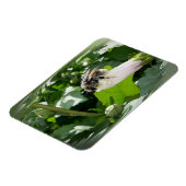 Magnet Flexible Bee in summer (Côté Gauche)