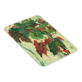 Magnet Flexible Begonia Maculata Plante de jardin d'intérieur Pein (Côté Droit)