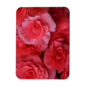Magnet Flexible Bégonie rose luxuriante (Vertical)