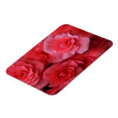Magnet Flexible Bégonie rose luxuriante (Côté Gauche)