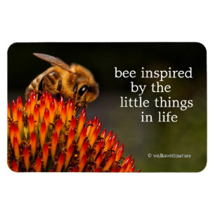 Magnet Flexible Belle abeille de miel pollinisant un confleur