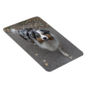 Magnet Flexible Belle Aussie multicolore (Côté Droit)