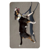 Magnet Flexible Belle Bullterrier Tricolore (Vertical)