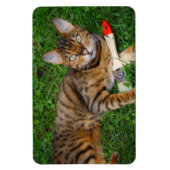 Magnet Flexible Belle Chat Bengale (Vertical)
