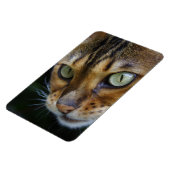 Magnet Flexible Belle Chat Bengale (Côté Gauche)