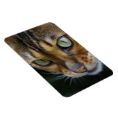 Magnet Flexible Belle Chat Bengale (Côté Droit)