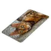 Magnet Flexible Belle Chat Bengale (Côté Gauche)