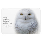 Magnet Flexible Belle, Dreamy et Serene Snowy Owl (Horizontal)