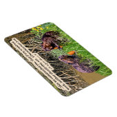 Magnet Flexible Belle Écriture de castor 2Thessaloniciens 3:10 (Côté Droit)