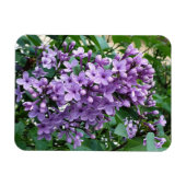 Magnet Flexible Belle fleur lilas violette (Horizontal)