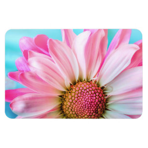 Magnet Flexible Belle Fleur rose Gros plan Photo