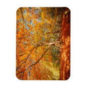 Magnet Flexible Belle forêt d'automne (Vertical)
