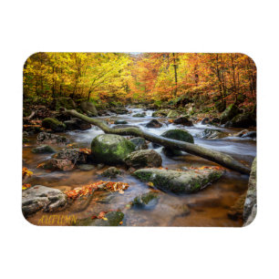 Magnet Flexible Belle forêt d'automne