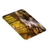 Magnet Flexible Belle forêt d'automne (Côté Droit)