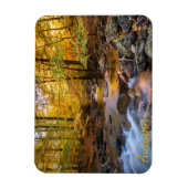 Magnet Flexible Belle forêt d'automne (Vertical)