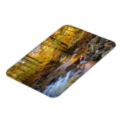 Magnet Flexible Belle forêt d'automne (Côté Gauche)