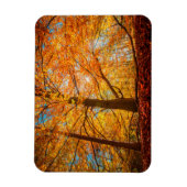 Magnet Flexible Belle forêt d'automne (Vertical)