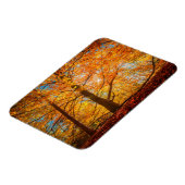 Magnet Flexible Belle forêt d'automne (Côté Gauche)