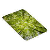 Magnet Flexible Belle forêt verte (Côté Droit)